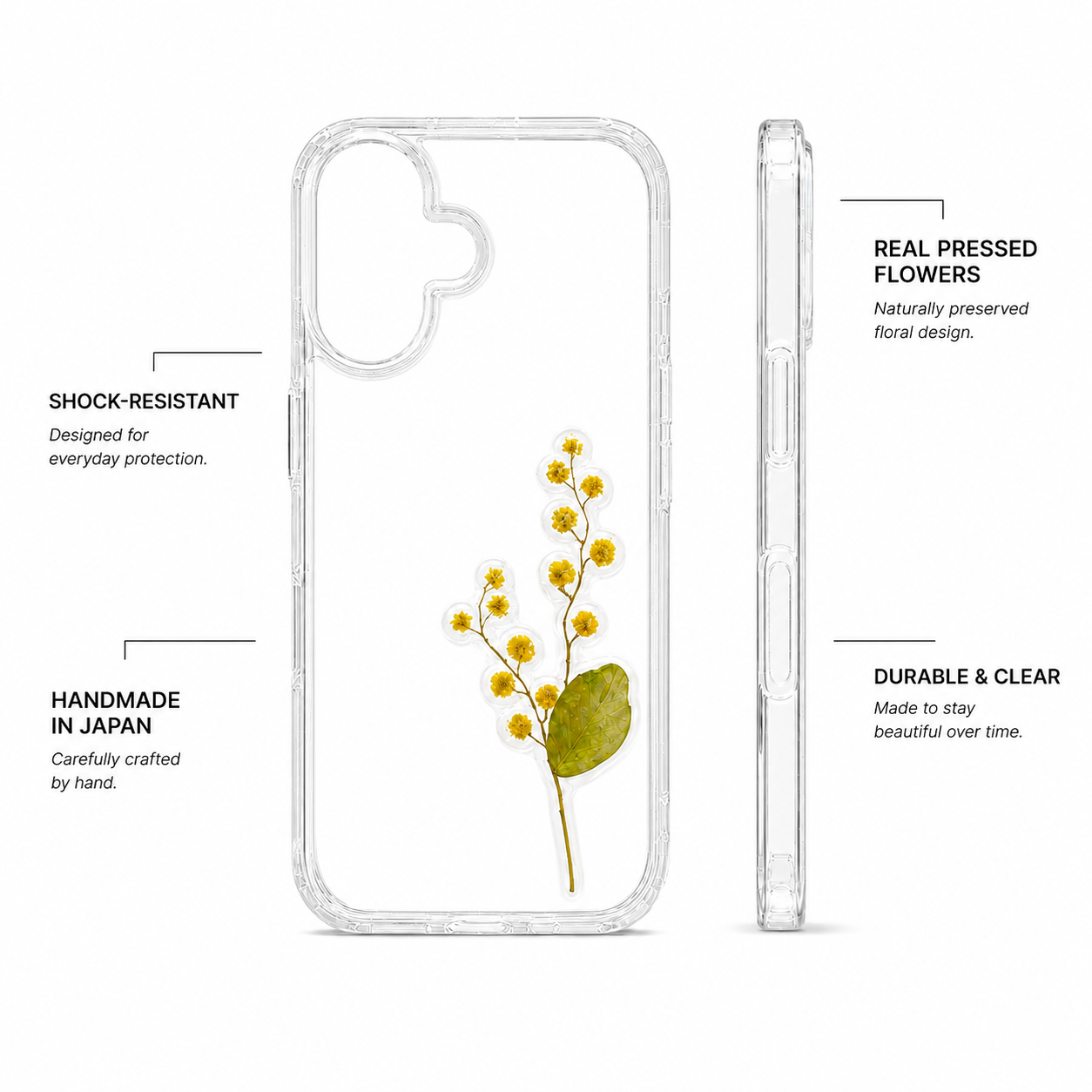 Mimosa Light — Mimosa Case