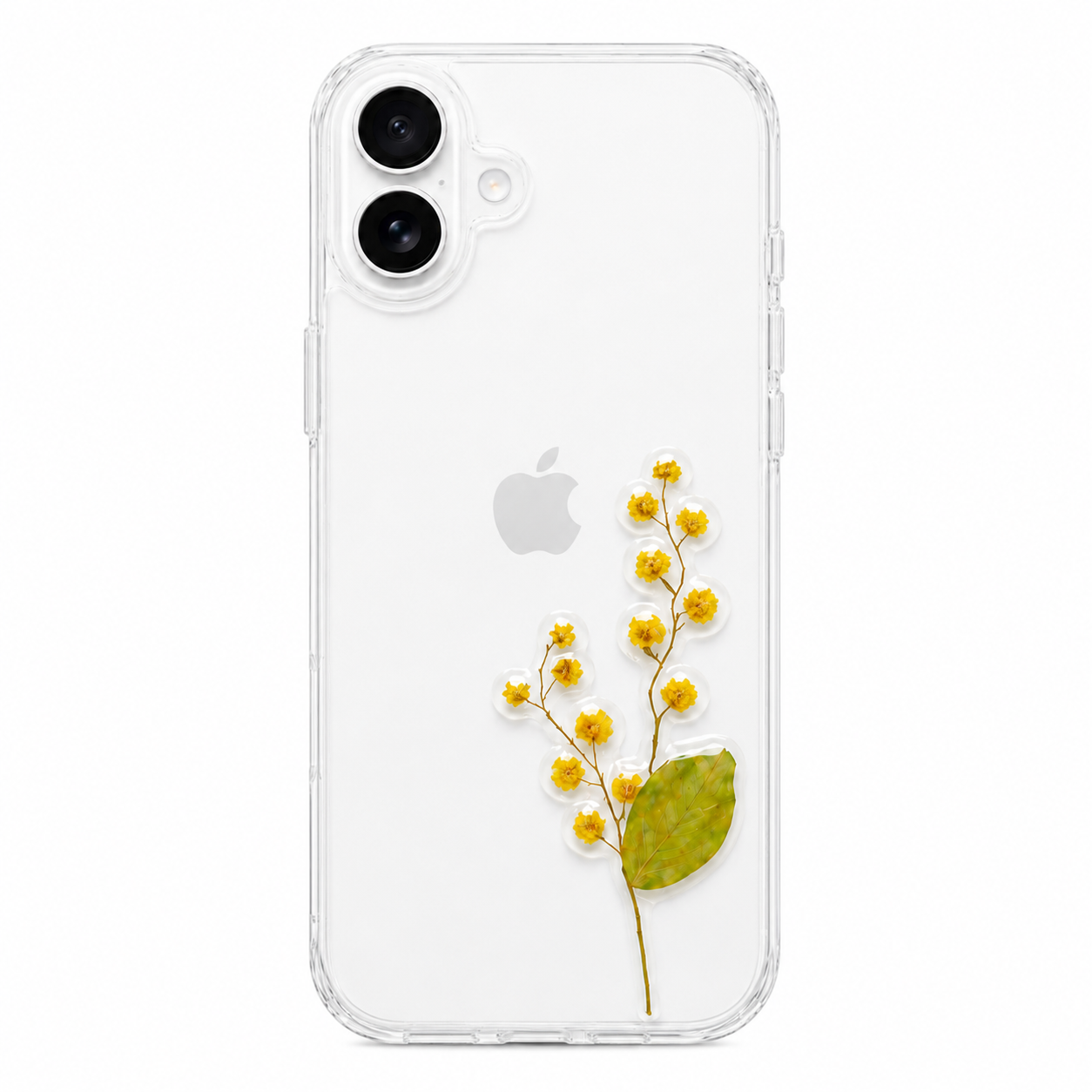 Mimosa Light — Mimosa Case