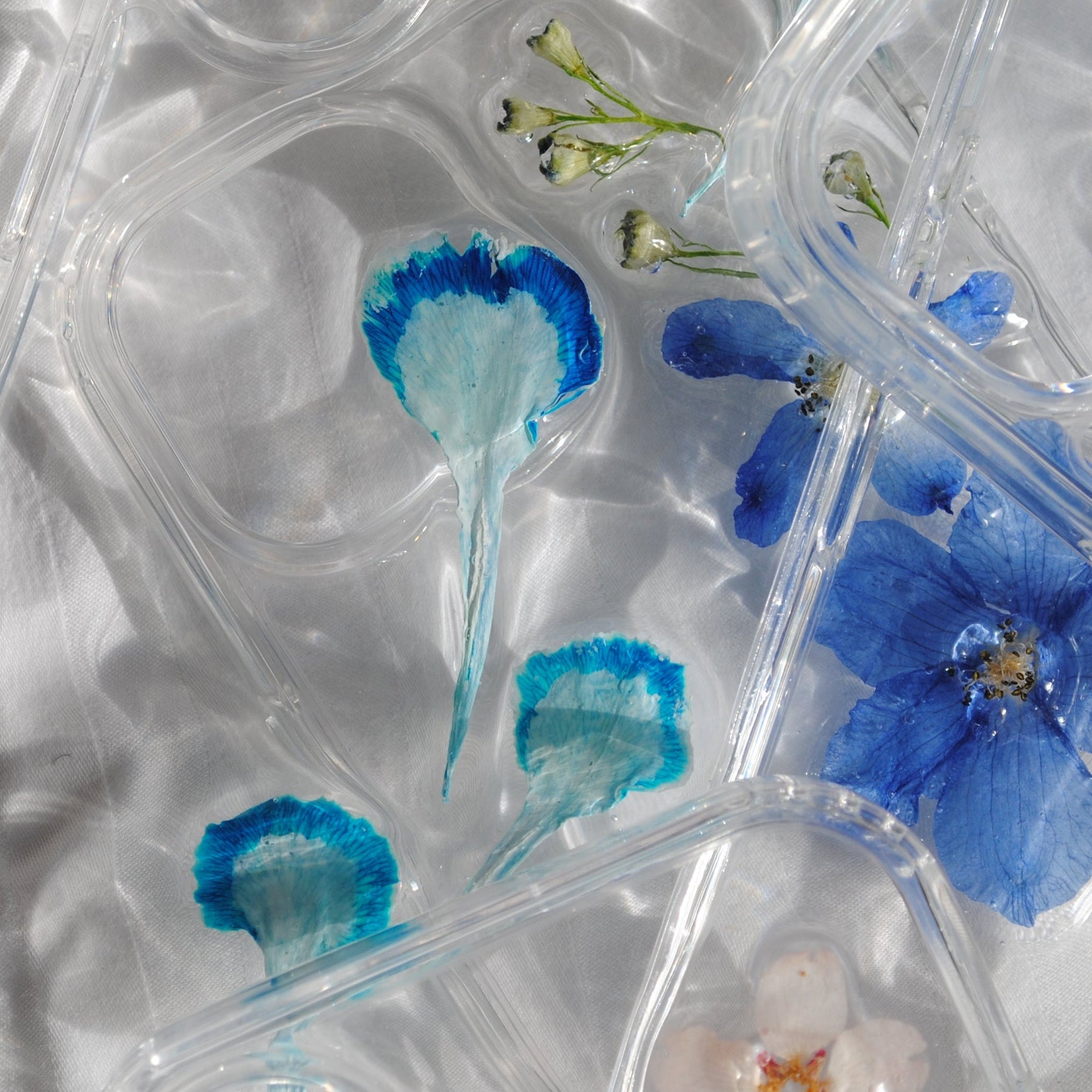Azure Calm — Carnation Case